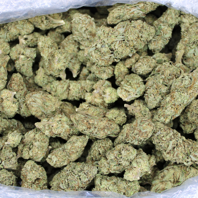 Skywalker OG THCA Flower