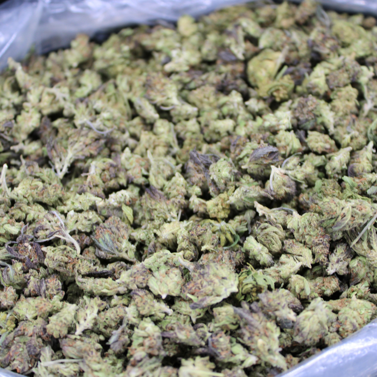 Cheap THCA Smalls Quarter Pound