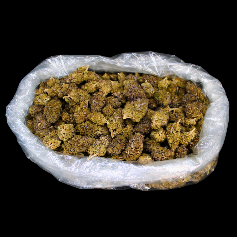 THCA Flower Budget Buds