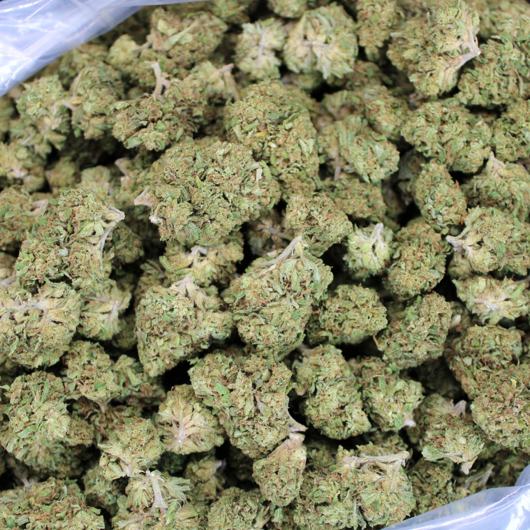 Super Lemon Haze THCA Flower