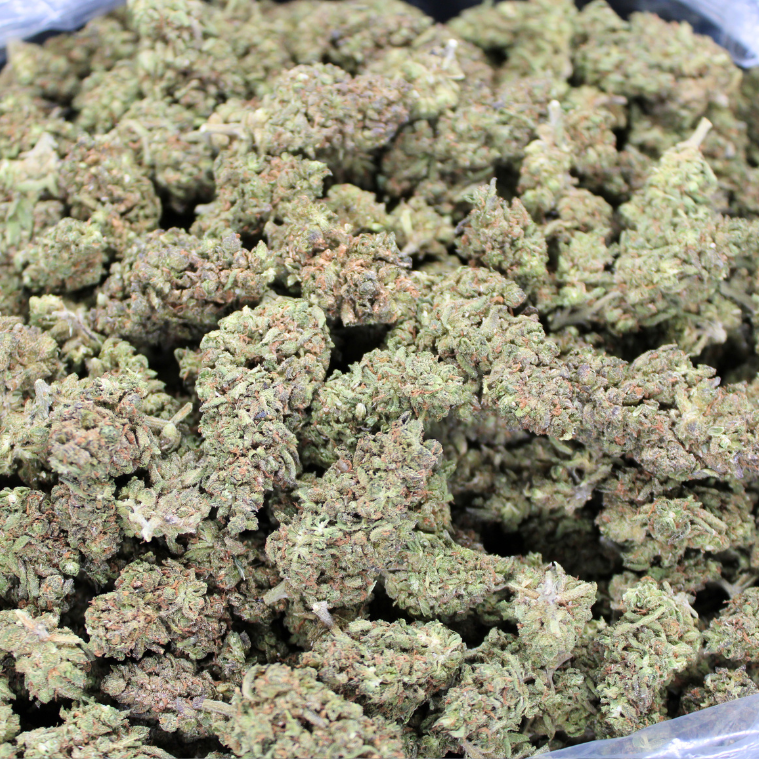 Cheap THCA Flower Pound