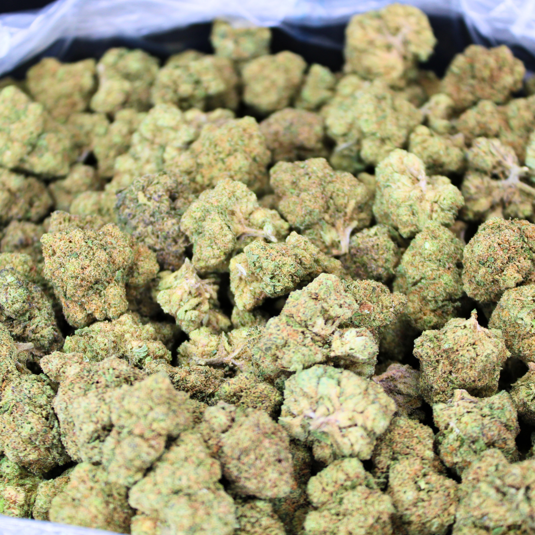 Tangie THCA Flower