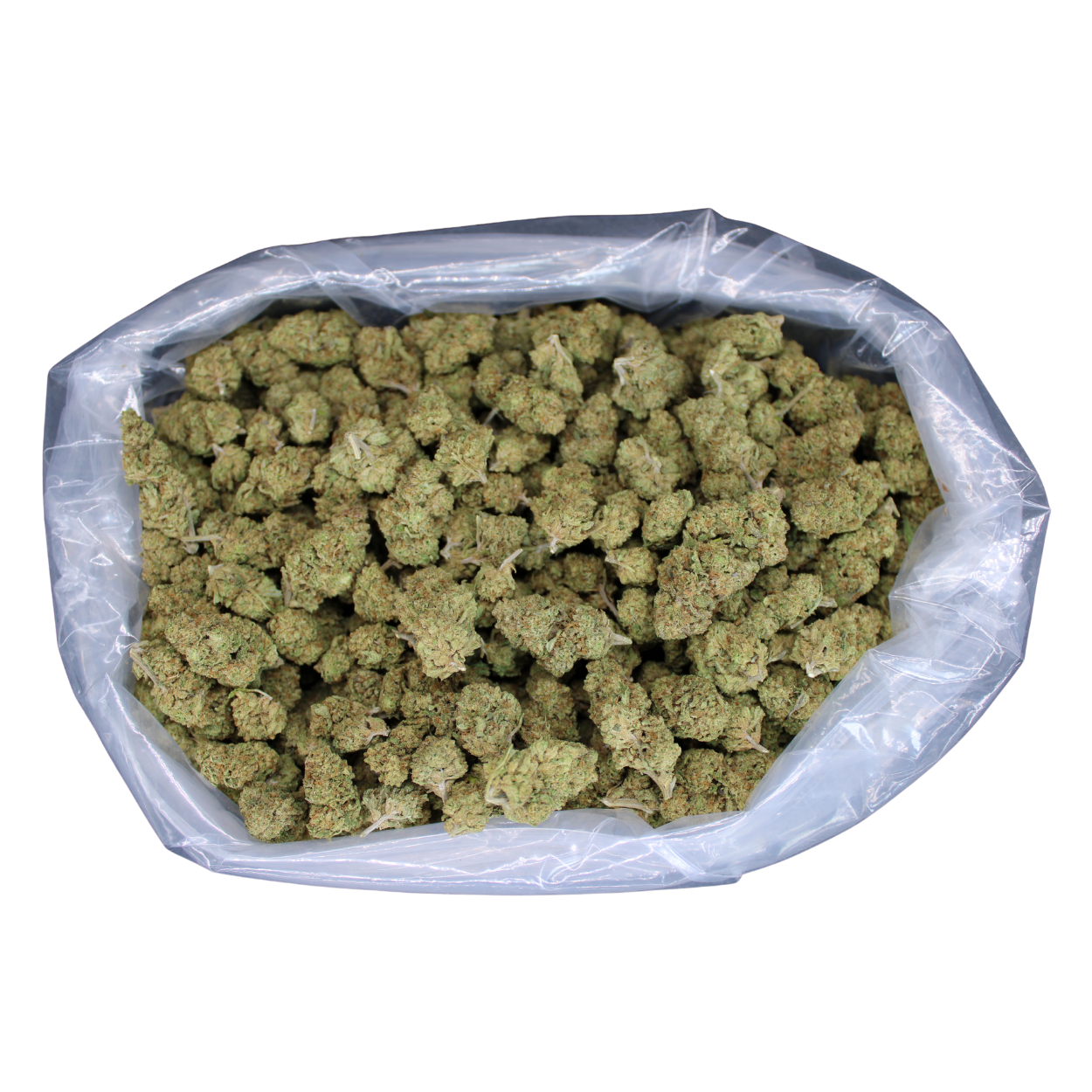 Acapulco Gold THCA Flower