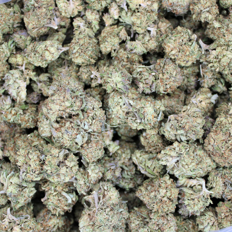 Gas Face THCA Flower Mediums