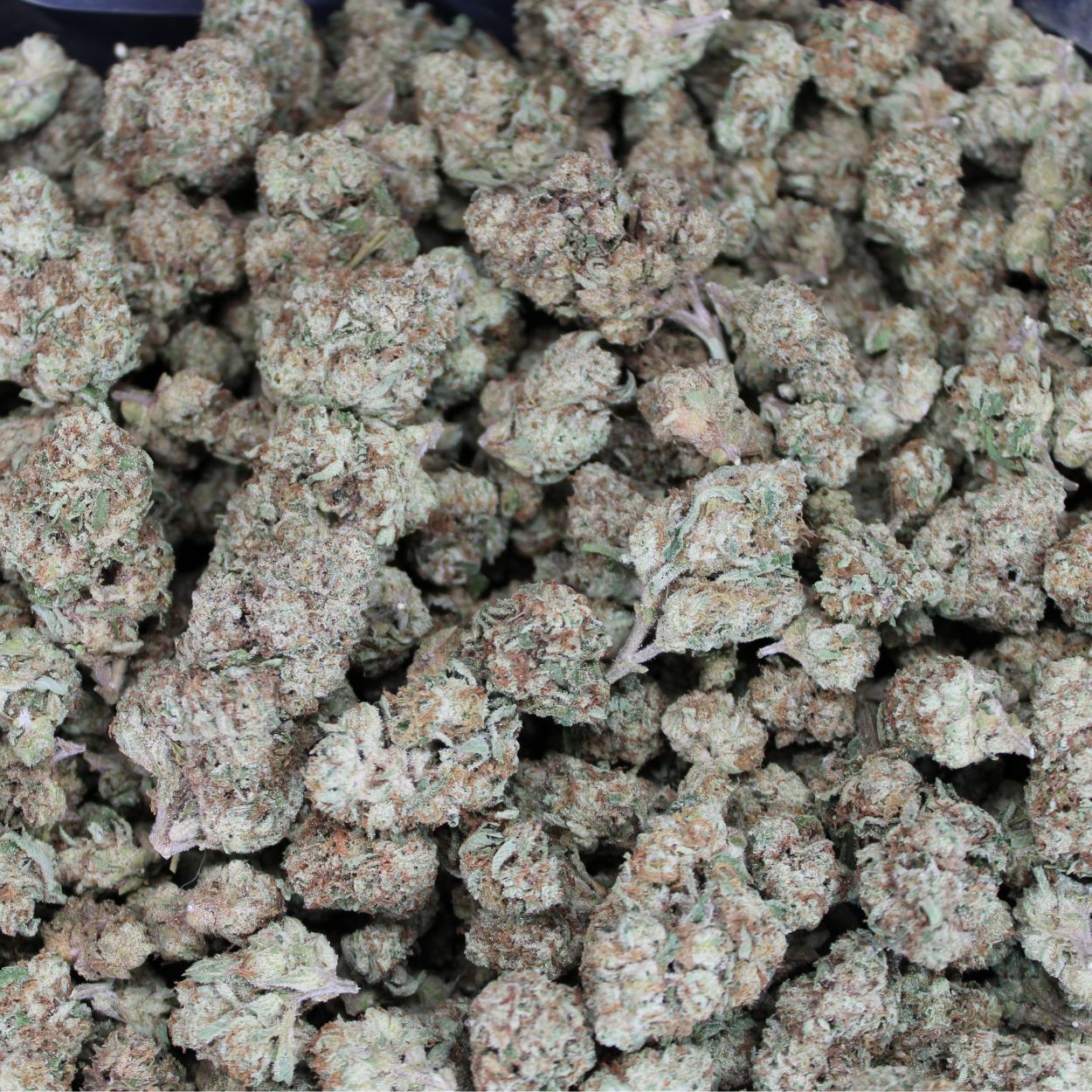 Georgia Pie THCA Flower