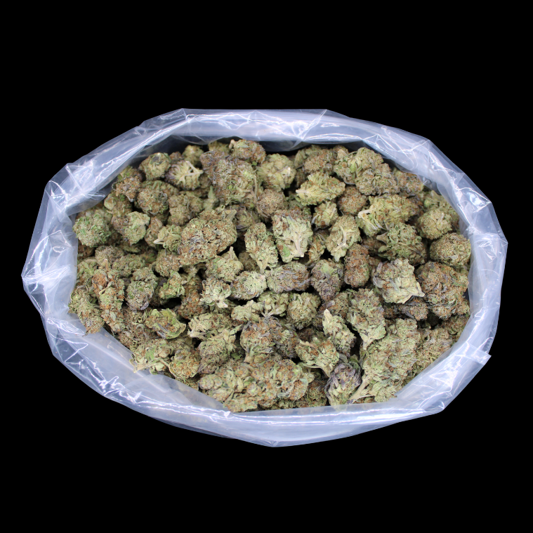 Gotti OG THCA Don Flower