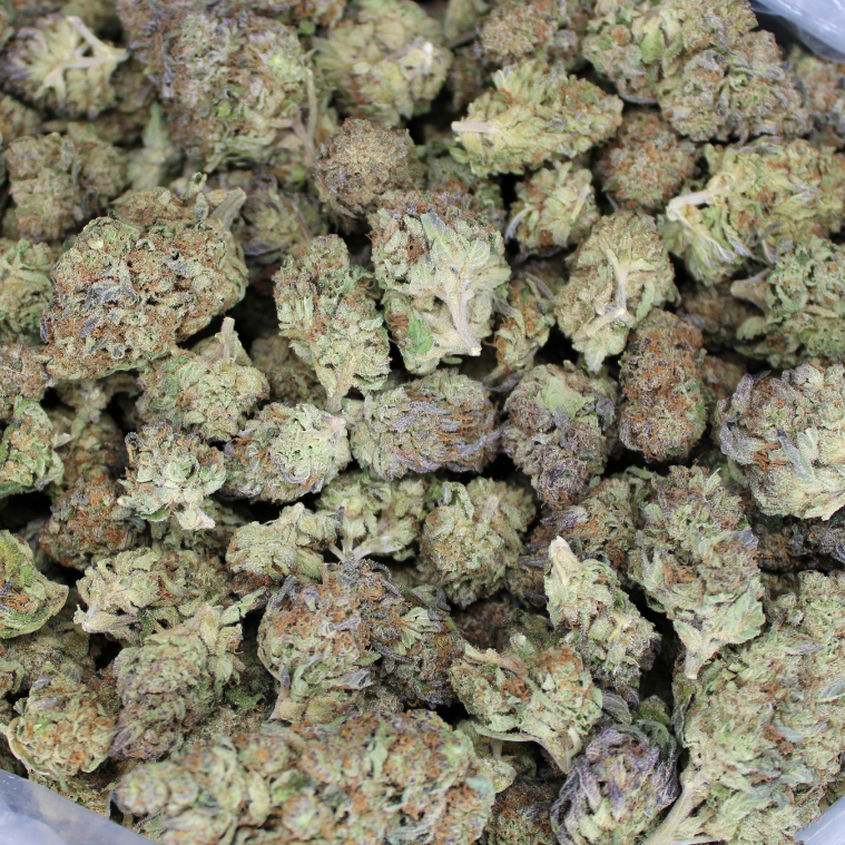 Gotti OG THCA Don Flower