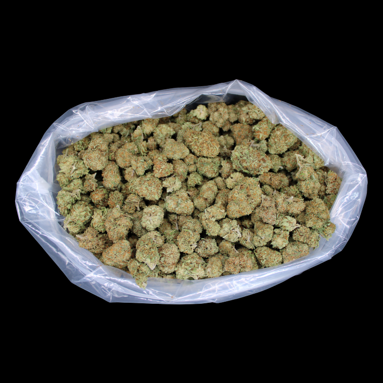 Key Lime Pie THCA Flower