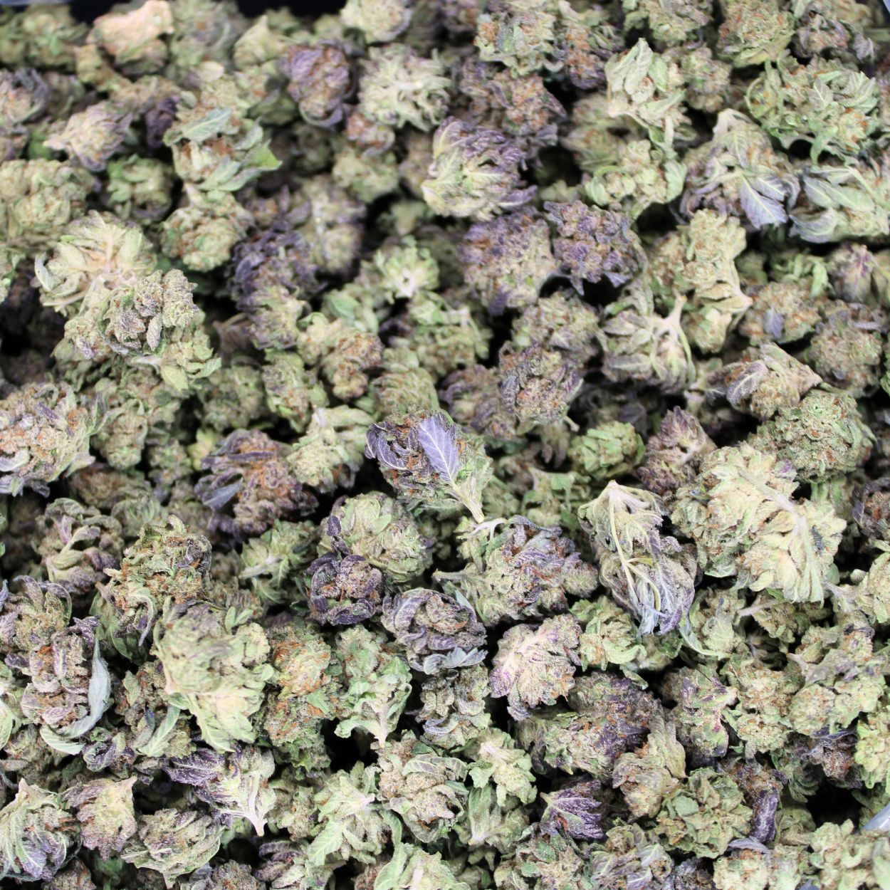 Grand Daddy Purple THCA Smalls