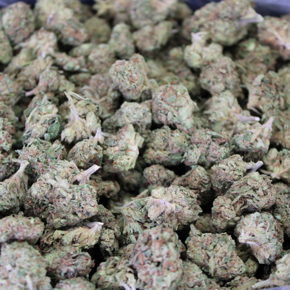 Cheap THCA Flower Pound