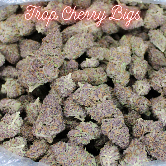 Tropicana Cherry THCA Flower