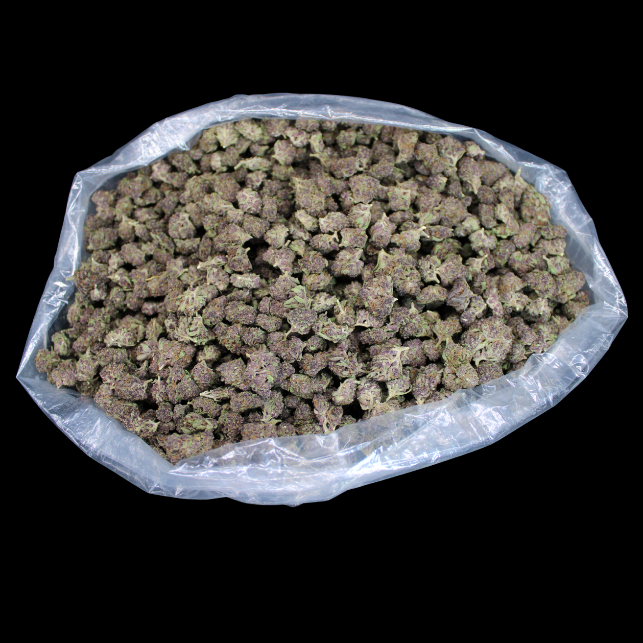 Tropicana Cherry THCA Mediums