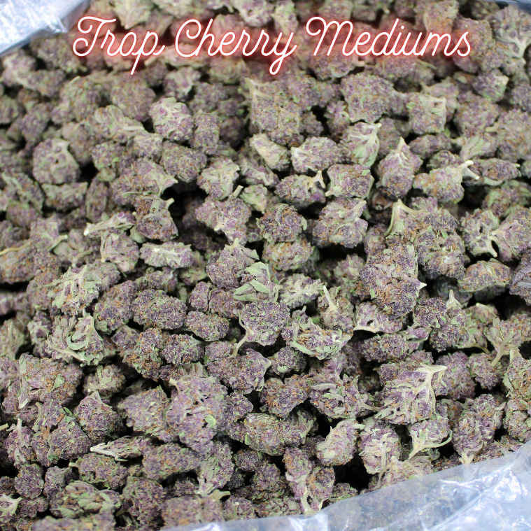 Tropicana Cherry THCA Mediums