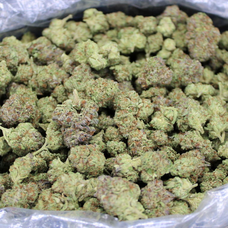 UK Cheese THCA Flower
