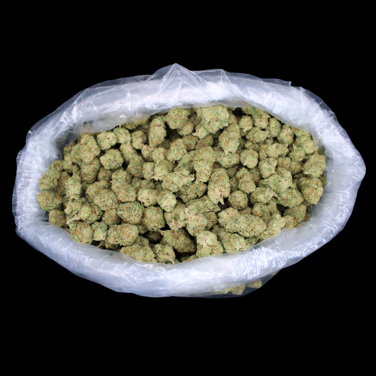 Venom OG THCA Flower