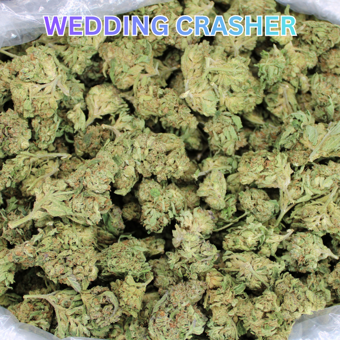 Cheap THCA Smalls Pound