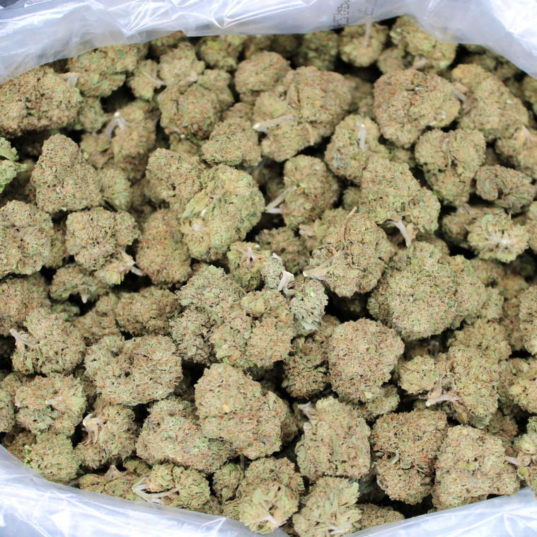 White Rhino THCA Flower