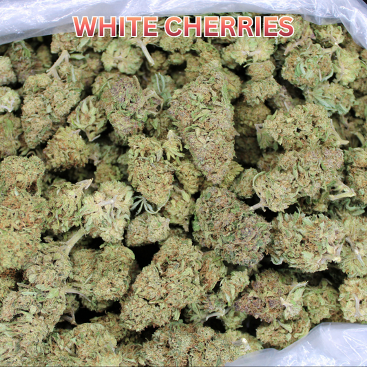 White Cherries THCA Flower