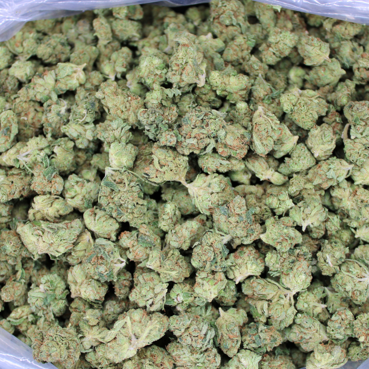 Bulk Indoor THCA Smalls